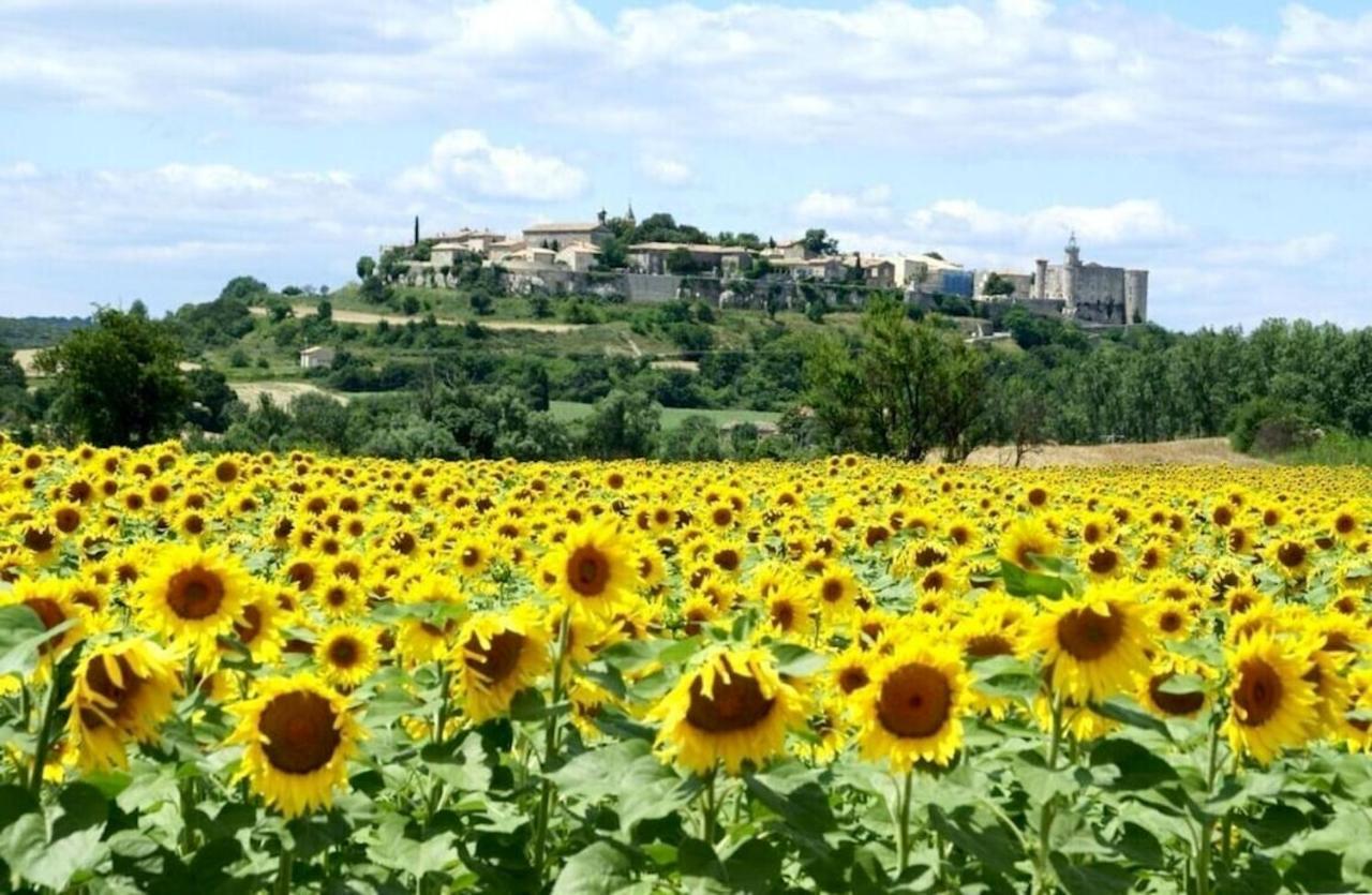 Villa Charmante A Lussan Avec Piscine Privee Et Jardin Closa Exteriér fotografie